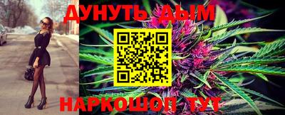 гашик Нальчик