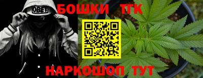 гашик Нальчик