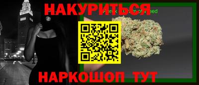 гашик Нальчик